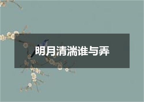 明月清湍谁与弄