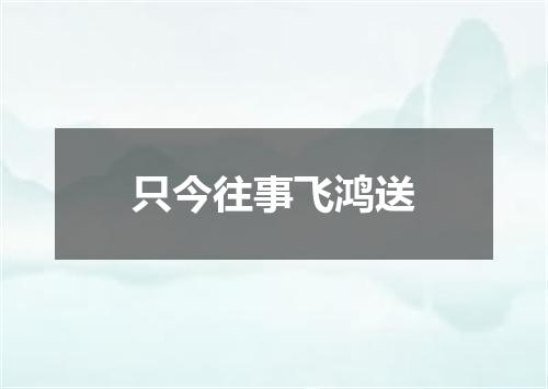 只今往事飞鸿送