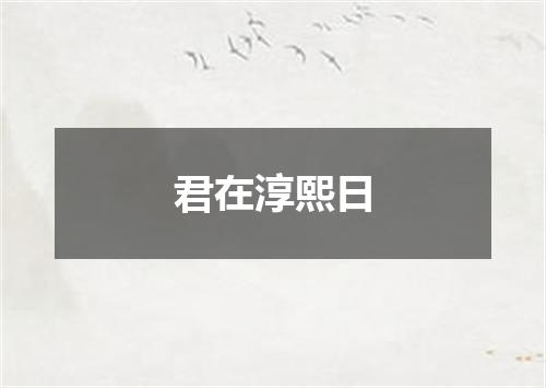 君在淳熙日