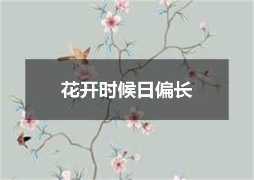 花开时候日偏长