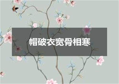 帽破衣宽骨相寒