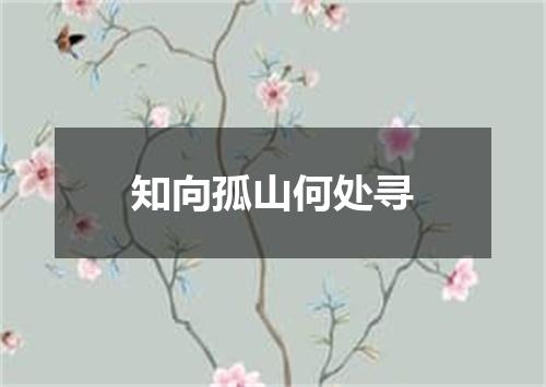 知向孤山何处寻