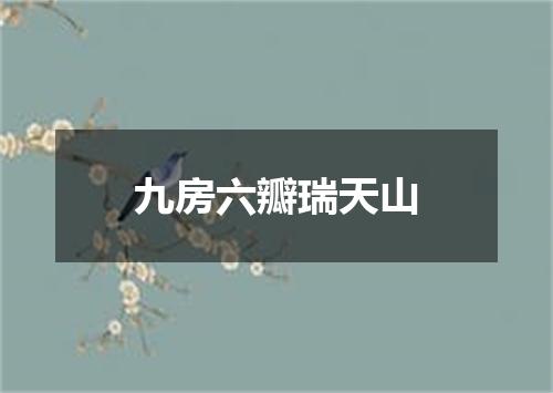 九房六瓣瑞天山