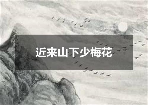 近来山下少梅花