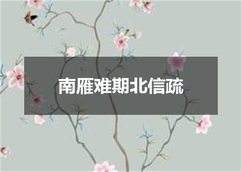 南雁难期北信疏