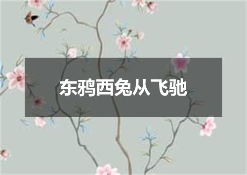 东鸦西兔从飞驰