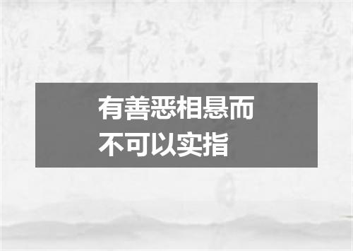 有善恶相悬而不可以实指