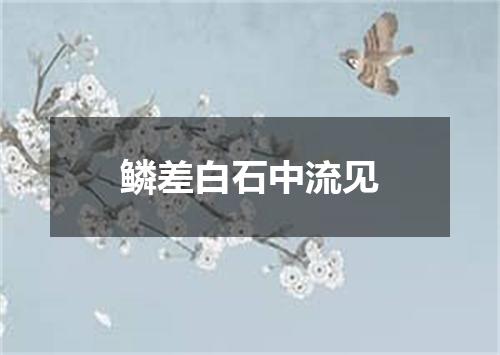 鳞差白石中流见