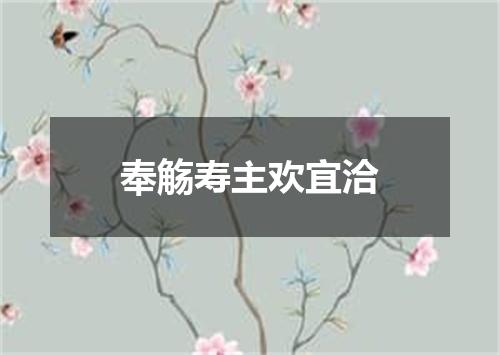 奉觞寿主欢宜洽