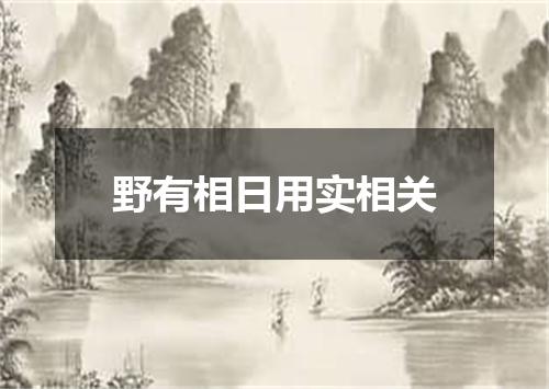 野有相日用实相关