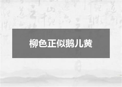 柳色正似鹅儿黄