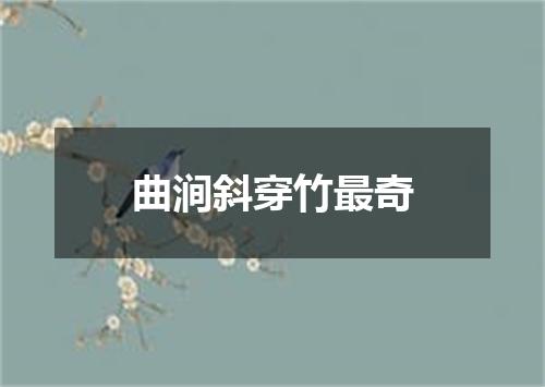 曲涧斜穿竹最奇