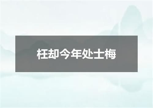 枉却今年处士梅