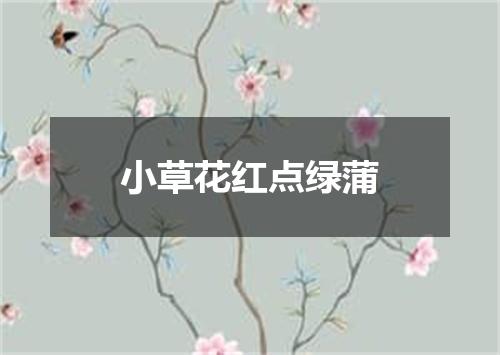 小草花红点绿蒲