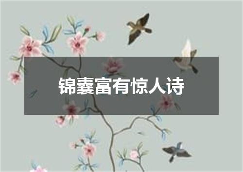 锦囊富有惊人诗