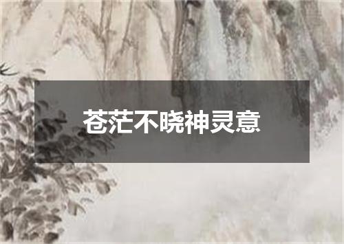 苍茫不晓神灵意