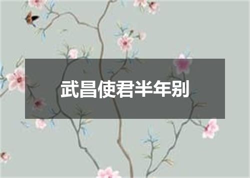 武昌使君半年别