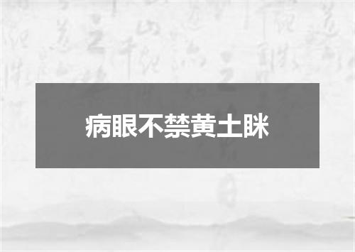 病眼不禁黄土眯