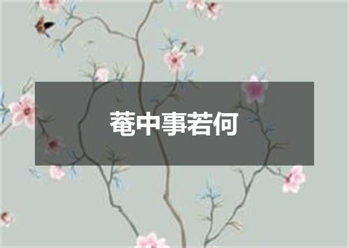 菴中事若何