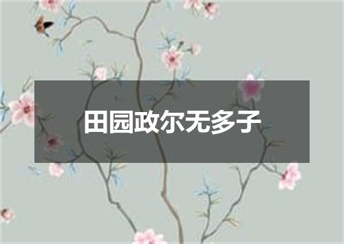 田园政尔无多子