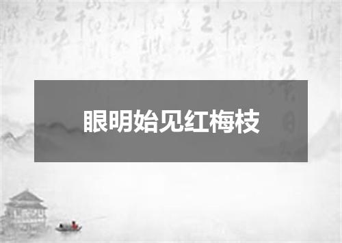 眼明始见红梅枝