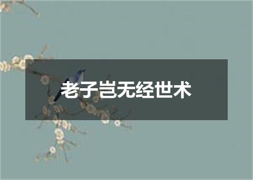 老子岂无经世术