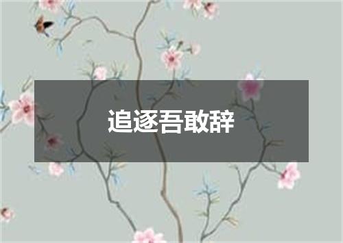 追逐吾敢辞