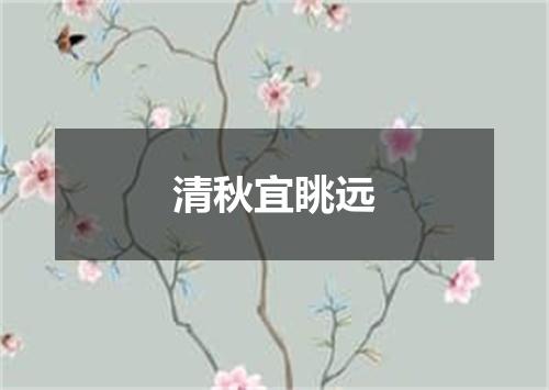 清秋宜眺远