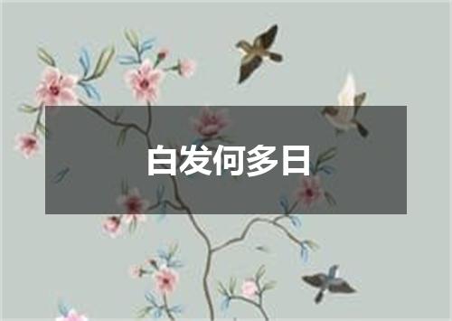 白发何多日