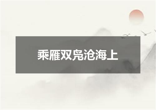 乘雁双凫沧海上