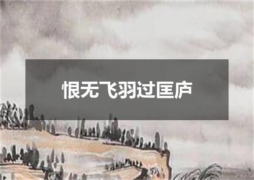 恨无飞羽过匡庐