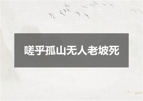 嗟乎孤山无人老坡死