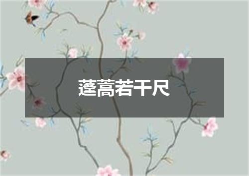 蓬蒿若干尺