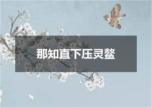 那知直下压灵鳌