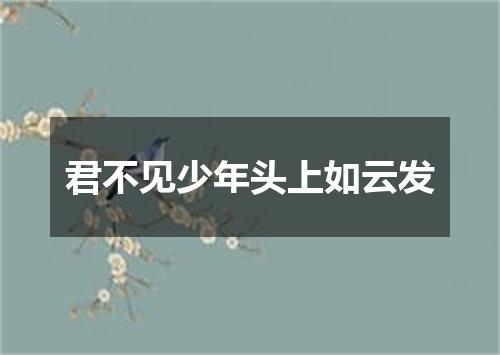 君不见少年头上如云发