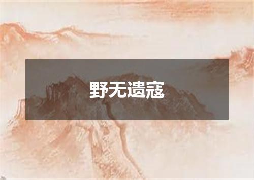 野无遗寇