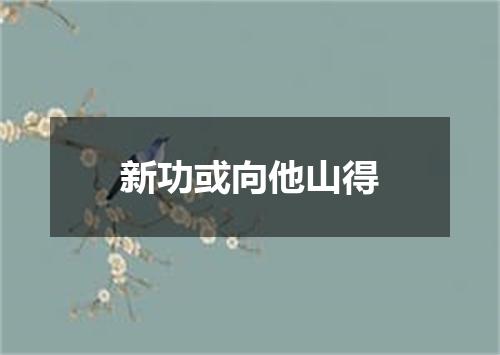 新功或向他山得