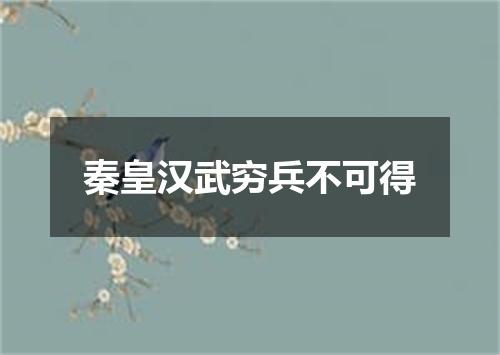 秦皇汉武穷兵不可得