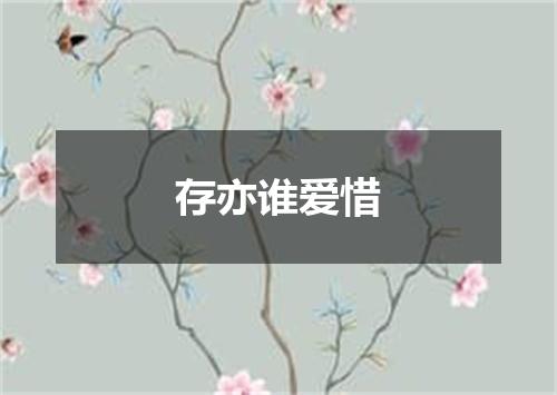 存亦谁爱惜