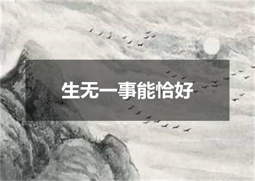 生无一事能恰好