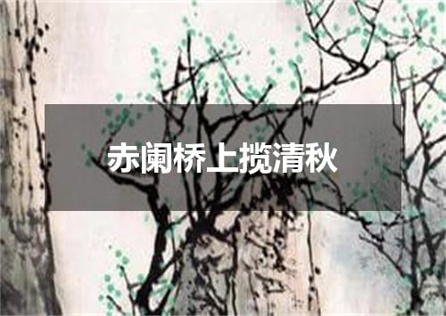 赤阑桥上揽清秋