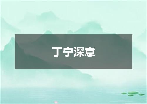 丁宁深意