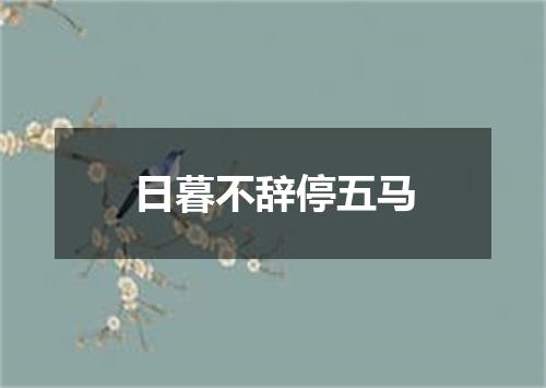 日暮不辞停五马