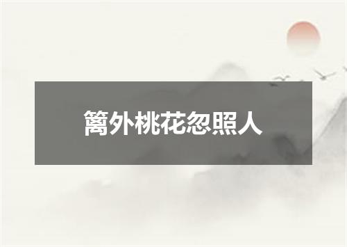 篱外桃花忽照人