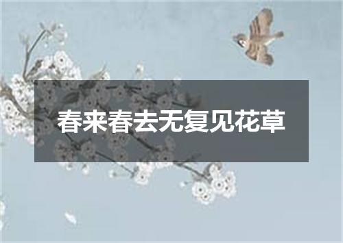 春来春去无复见花草