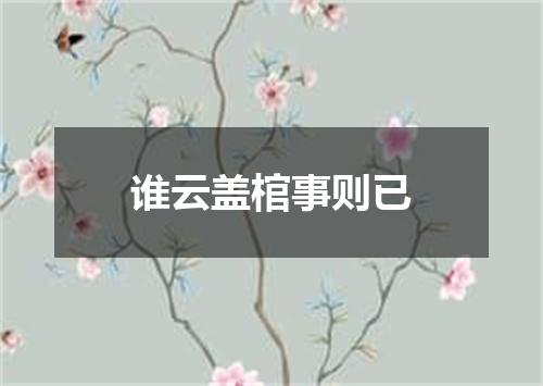 谁云盖棺事则已