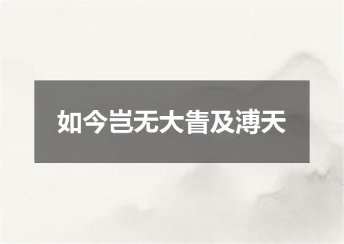 如今岂无大眚及溥天