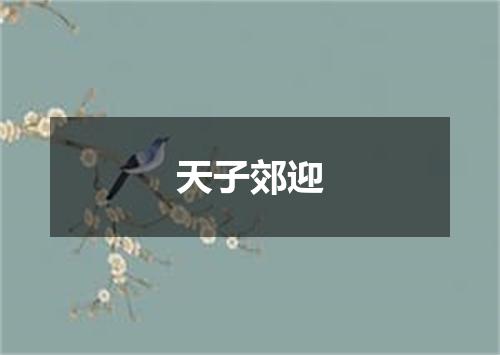 天子郊迎