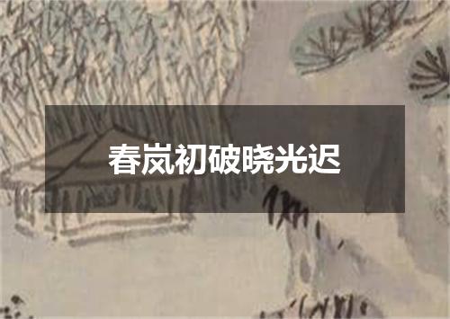 春岚初破晓光迟