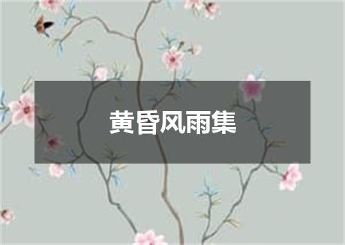 黄昏风雨集